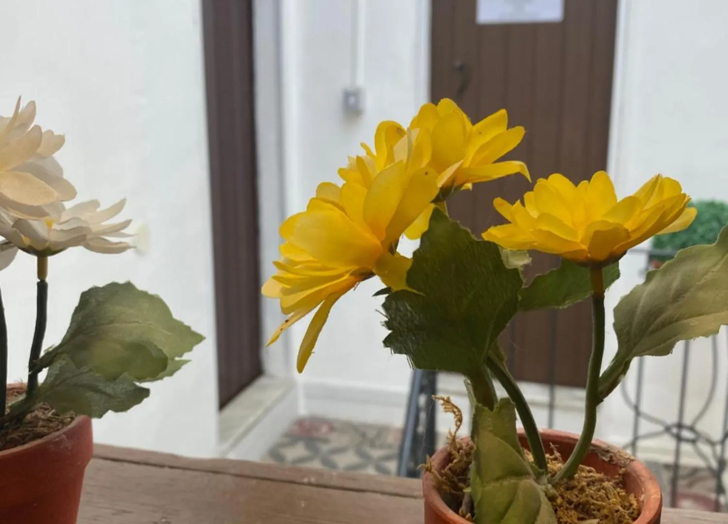 Florhouse Pacini Apartment Catania Italy